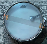 Pearl President Series Phenolic 14"x5.5" Snare Drum w/Case (Pearl White Oyster)